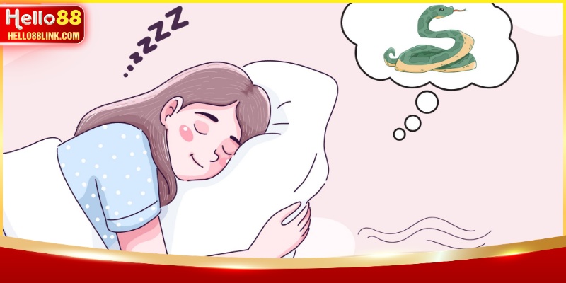 Các trường hợp phổ biến khi thấy loài bò sát