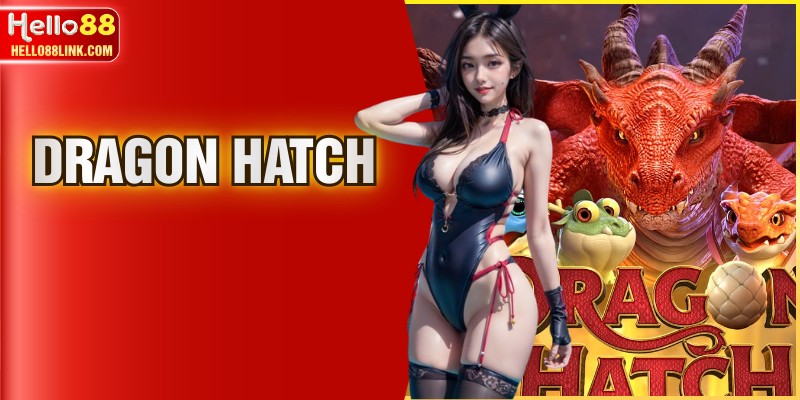 Dragon Hatch - Hành Trình Săn Trứng Rồng Tại Nhà Cái