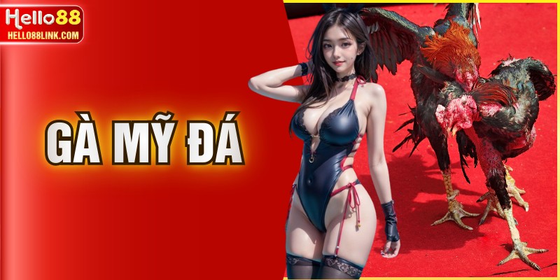 Gà Mỹ Đá - Bí Quyết Chọn Để Luôn Thắng Trong Mọi Trận Cầu