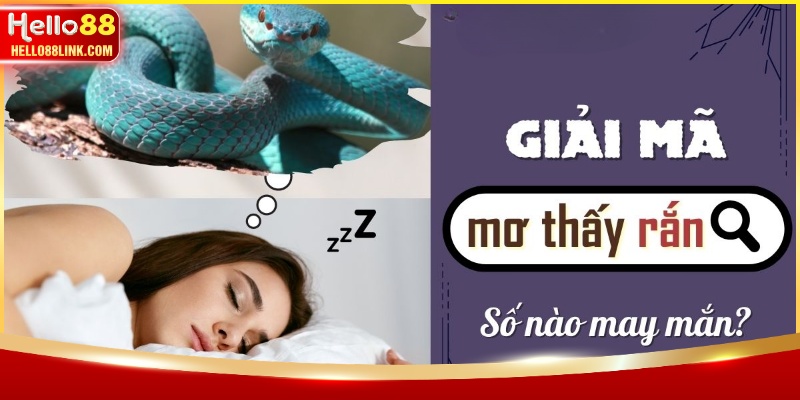 Giải đáp điềm báo khi nằm mơ thấy rắn